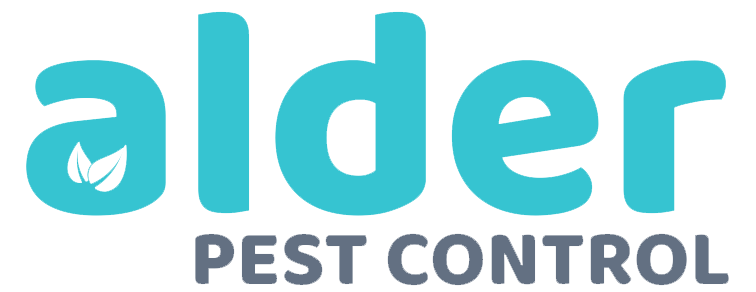 https://www.alderpestcontrol.com/wp-content/uploads/2021/06/cropped-Alder-Logo-No-Background.png