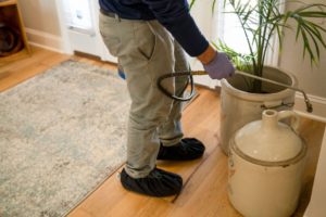 Get rid of pests with Quarterly Pest Control